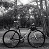 Colossi Custom Low Pro "Tathiana" photo