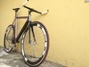 Colossi Low Pro(Malaysia) photo