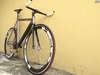 Colossi Low Pro(Malaysia) photo