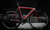 Colossi LOWPRO photo