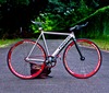 Colossi LOWPRO photo