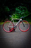 Colossi LOWPRO photo