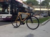 Colossi lowpro - The Golden Boy photo