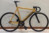 Colossi lowpro - The Golden Boy photo