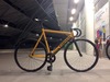 Colossi lowpro - The Golden Boy photo