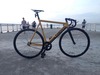 Colossi lowpro - The Golden Boy photo