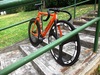 Colossi Lowpro14 - Annoying Orange photo