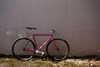 Colossi Mondial Track "Purple Haze" photo