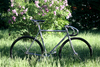 Colossi Pista // MONDIAL TRACK photo