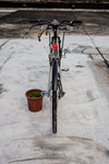 Colossi Prototype Singlespeed Cyclocross photo