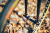 Colossi Rambler CX photo