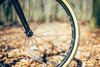 Colossi Rambler CX photo