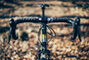 Colossi Rambler CX photo