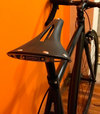 Colossi Singlespeed Custom photo