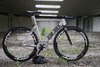 Colossi Startrack Velo xx Singapore photo