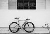 Colossi Startrack Velo xx Singapore photo