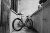 Colossi Startrack Velo xx Singapore photo