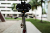 Colossi Startrack Velo xx Singapore photo