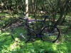 Colossi steel beater photo