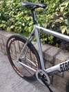 Colossi x Star Track Low Pro 10 photo