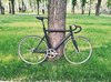 Comanche Elit photo