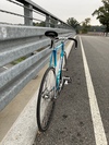 Concorde Astore fixed gear photo