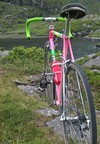 Concorde Gavina photo