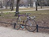 Contini Victory beater photo