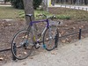 Contini Victory beater photo