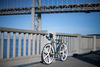 Copper Plated Kilo TT Gold-Chrome photo