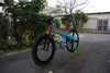 Corima photo