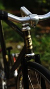 Covid-19 bike Pias Agra 2012 Dirty GOLD photo