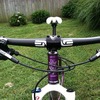 Crohns Awareness XC race Rig photo