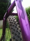 Crohns Awareness XC race Rig photo