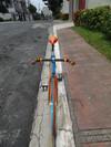 Fixed Gear- "Nelson Custom" photo