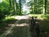 Custom Cannondale F29 "Black Betty" photo