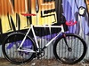 ...custom Contender (State Bicycle Co.) photo