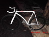 Custom Fixed Gear 53cm photo