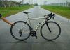 Ave Maldea Custom Road photo