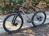 Custom Ti ATB - Rohloff, Gates, Lauf photo