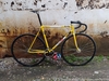 Cycles Tilly SLX photo