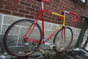 Cyclops Big Red Dura Ace Beauty photo