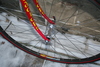 Cyclops Big Red Dura Ace Beauty photo