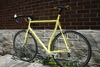 Cyclops Big Yellow Curvy photo