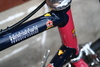 Cyclops Painted 1978 Nishiki Superbe photo