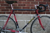 Cyclops Painted 1978 Nishiki Superbe photo