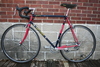 Cyclops Painted 1978 Nishiki Superbe photo