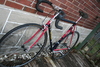 Cyclops Painted 1978 Nishiki Superbe photo