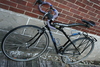 Cyclops Softride Touring photo