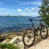 Cysco Ti Singlespeed 29er photo